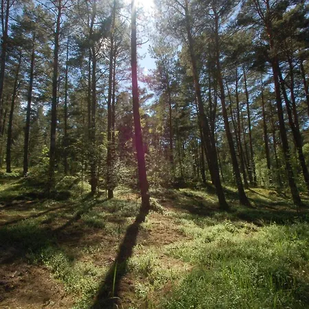 Lejlighed M&k Szafirowy - Wyspa Sobieszewska Gdańsk