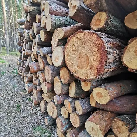 M&k Szafirowy - Wyspa Sobieszewska Lejlighed Gdańsk