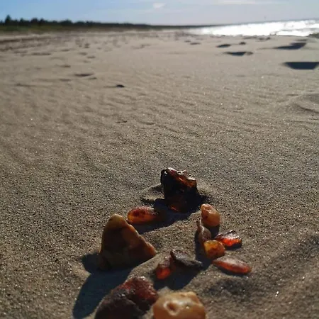 M&k Szafirowy - Wyspa Sobieszewska * Gdańsk