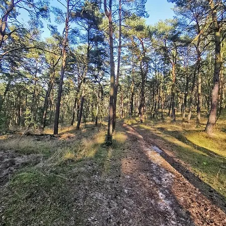 Lejlighed M&k Szafirowy - Wyspa Sobieszewska Gdańsk