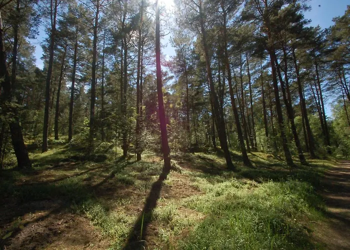 Apartment M&k Szafirowy - Wyspa Sobieszewska Danzig