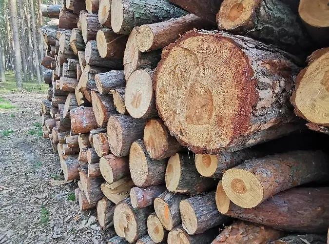 M&k Szafirowy - Wyspa Sobieszewska Apartment Danzig