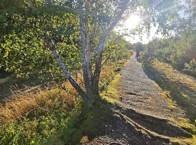 M&k Szafirowy - Wyspa Sobieszewska