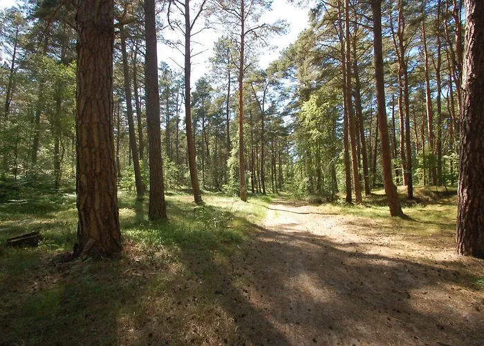 M&k Szafirowy - Wyspa Sobieszewska Apartment