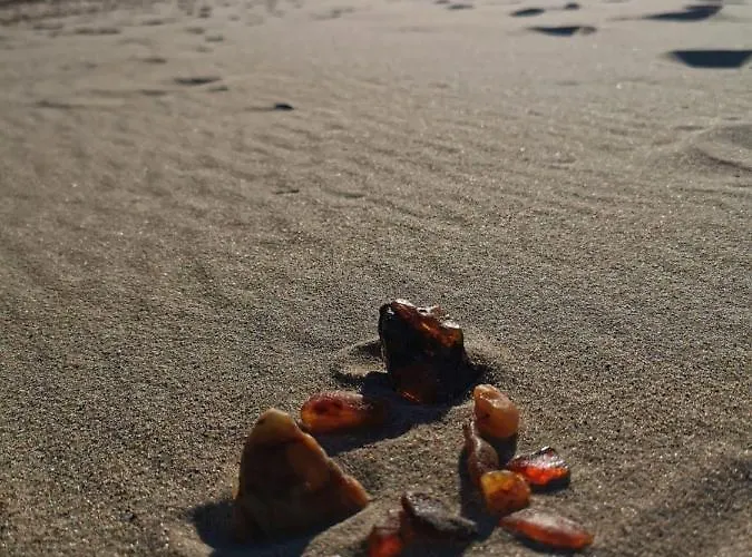 M&k Szafirowy - Wyspa Sobieszewska * Danzig