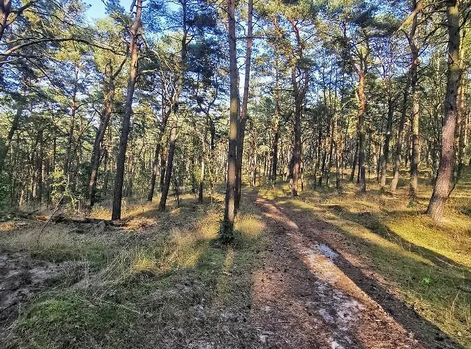 شقة M&k Szafirowy - Wyspa Sobieszewska غدانسك